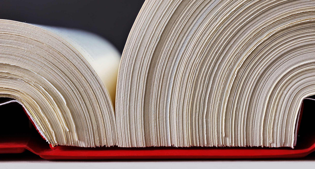 Ein aufgeschlagenes Gesetztesbuch / Foto: stock.adobe.com/Ingo Bartussek